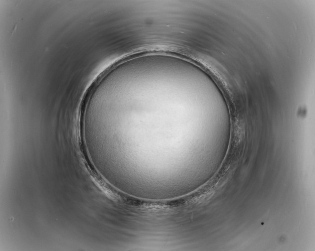 X0000098230886200804241338