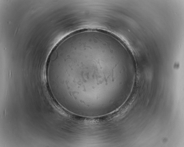 X0000098230887200804241338