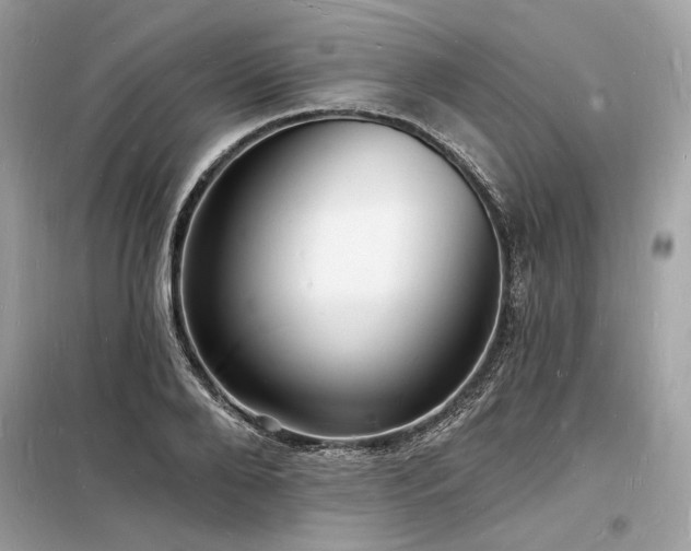 X0000098230888200804241338
