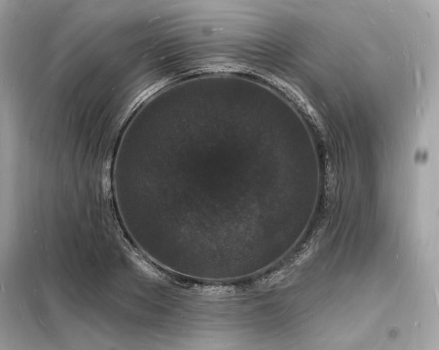 X0000098230889200804241338