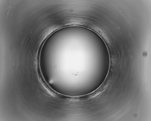 X0000098230890200804241338