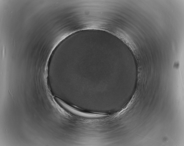 X0000098230892200804241338