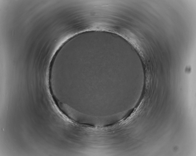 X0000098230896200804241338