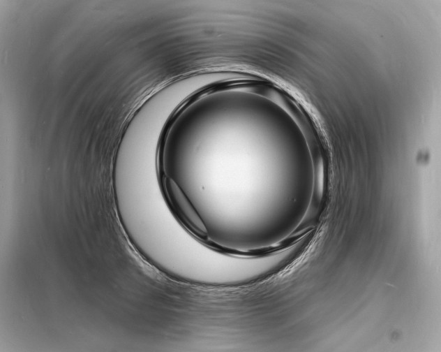 X0000098230897200804241338