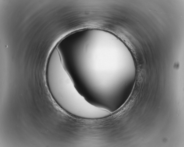 X0000098230904200804241338