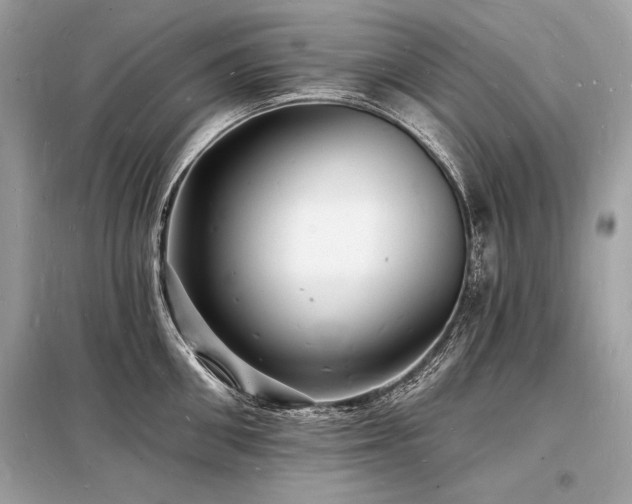 X0000098230906200804241338