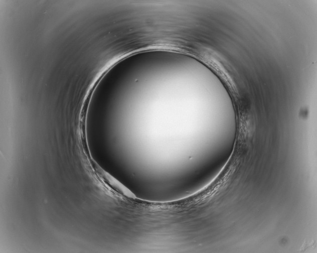 X0000098230908200804241338