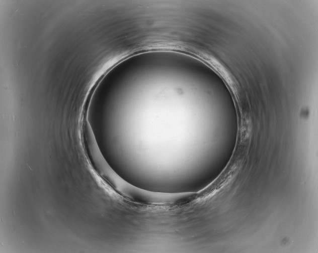 X0000098230909200804241338