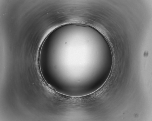 X0000098230912200804241338