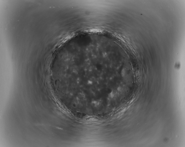 X0000098230913200804241337