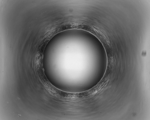 X0000098230914200804241337