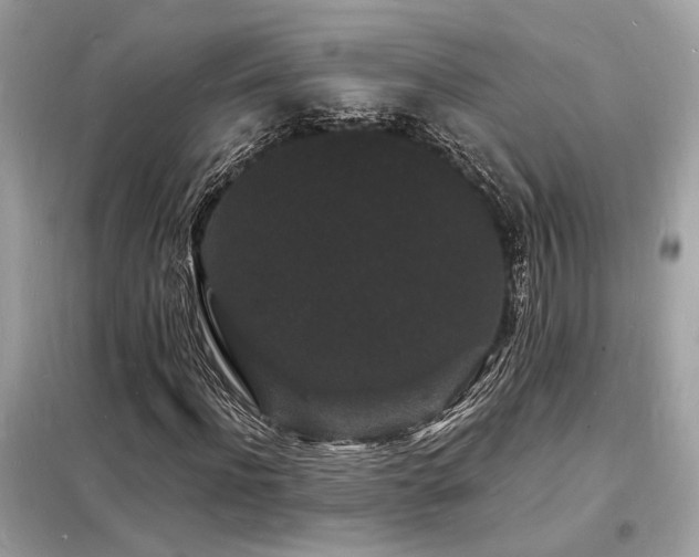 X0000098230916200804241337