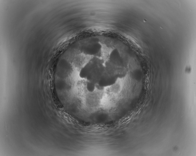 X0000098230917200804241337