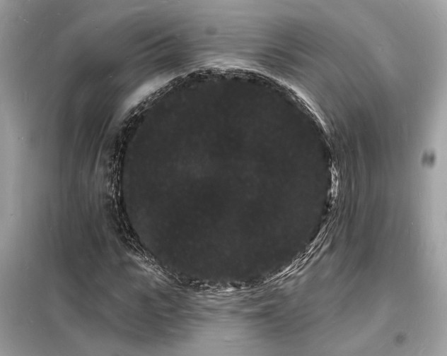 X0000098230919200804241337