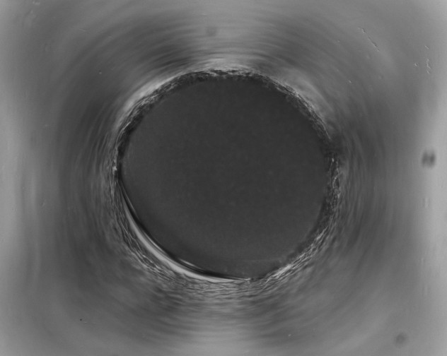 X0000098230920200804241337