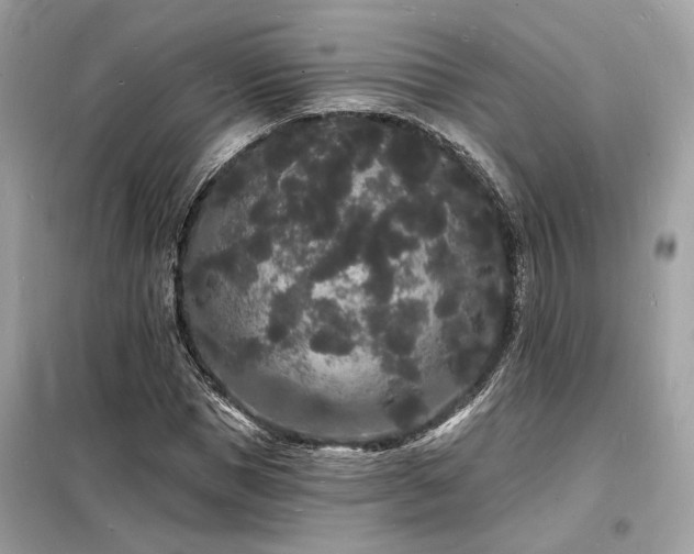 X0000098230921200804241337