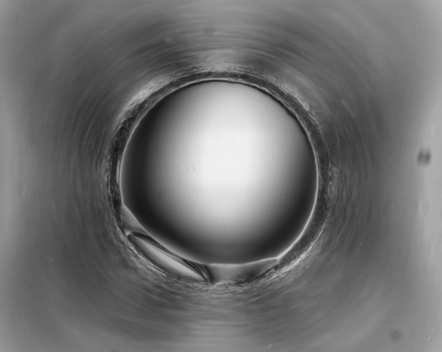 X0000098230922200804241337