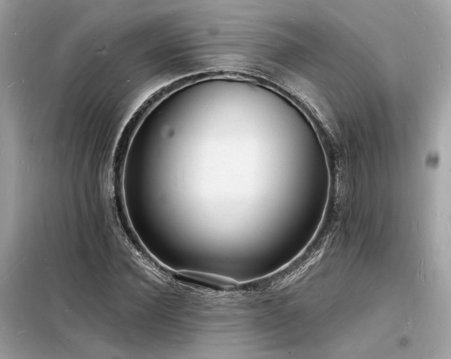 X0000098230924200804241337