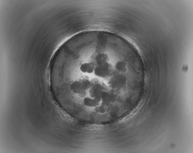 X0000098230925200804241337