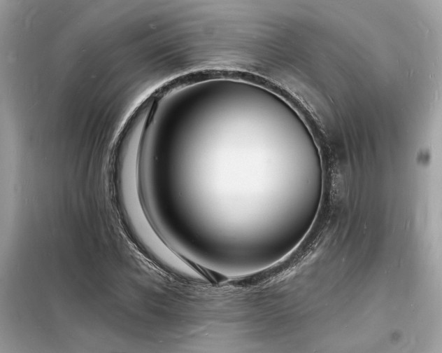 X0000098230926200804241337