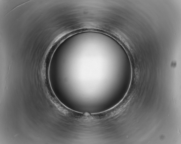 X0000098230931200804241337