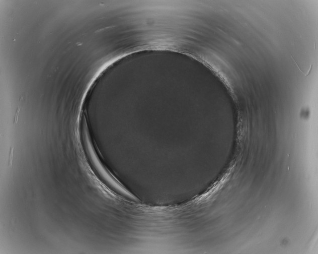 X0000098230932200804241337