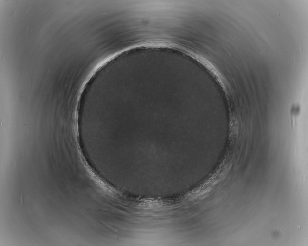 X0000098230935200804241337