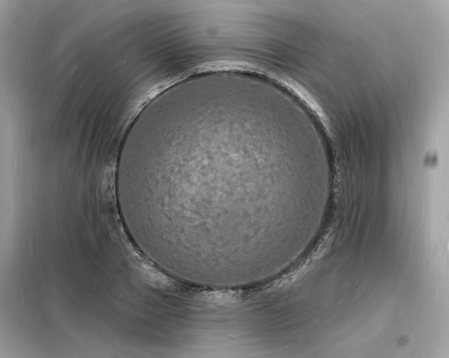 X0000098230937200804241337