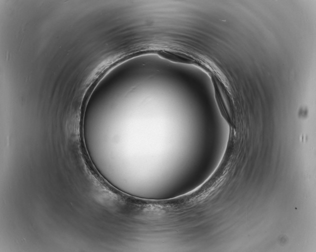 X0000098230938200804241337