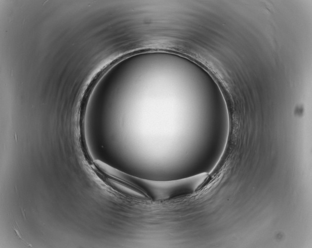 X0000098230939200804241337