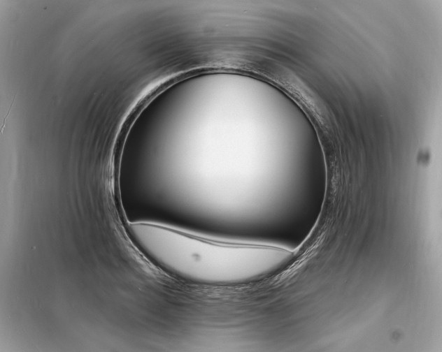 X0000098230940200804241337