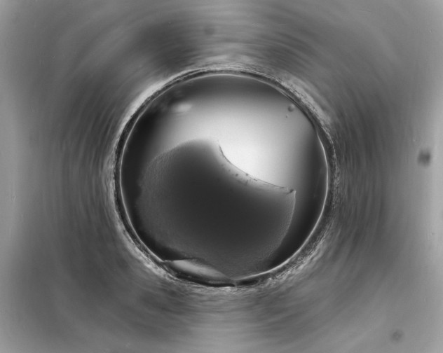 X0000098230941200804241337