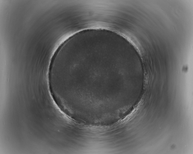 X0000098230943200804241337