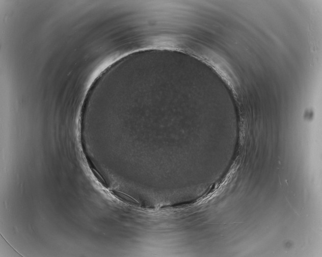 X0000098230944200804241337