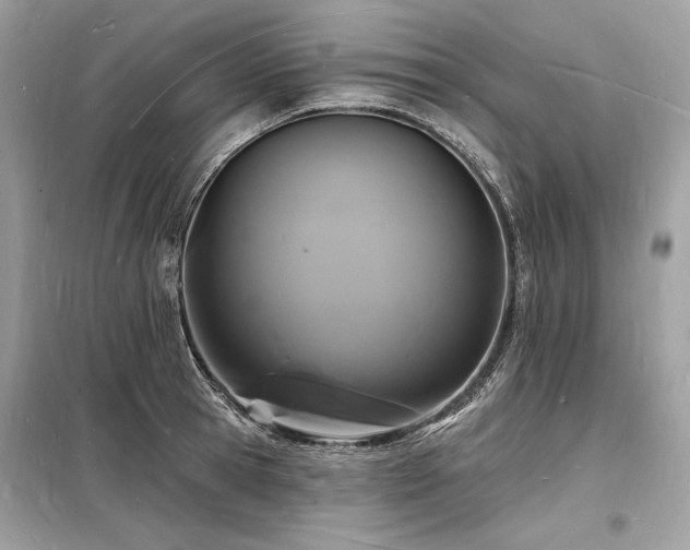 X0000098230945200804241337