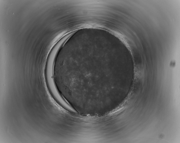 X0000098230946200804241337
