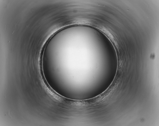 X0000098230947200804241337