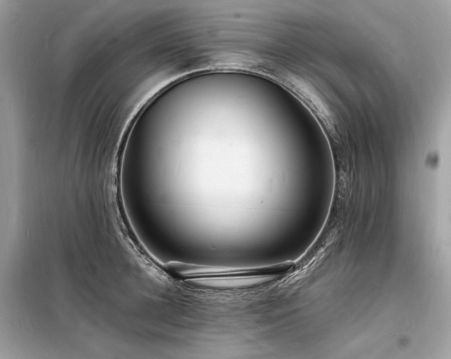 X0000098230948200804241337