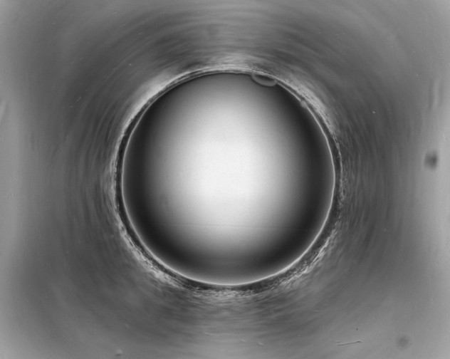 X0000098230949200804241337
