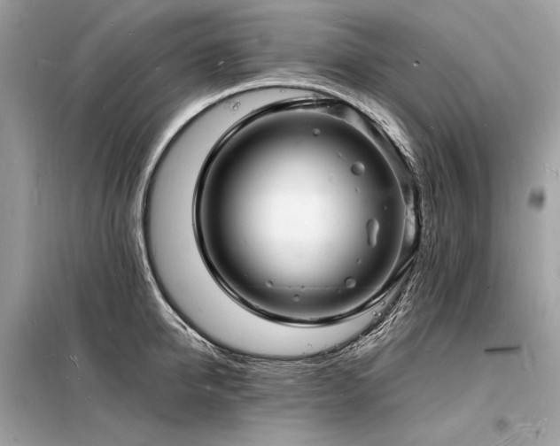 X0000098230950200804241337