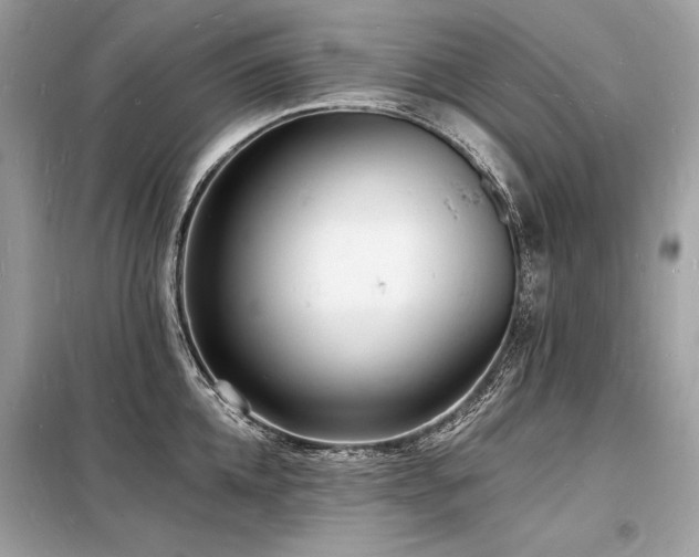 X0000098230952200804241337