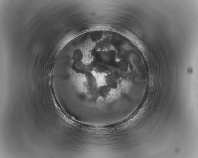X0000098230953200804241337