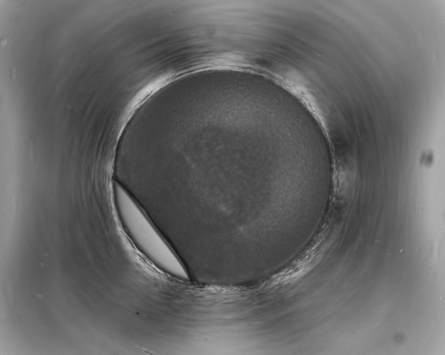 X0000098230954200804241337