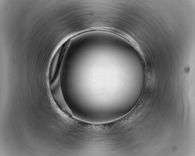 X0000098230955200804241337