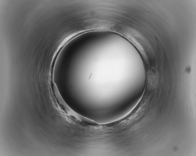 X0000098230956200804241337