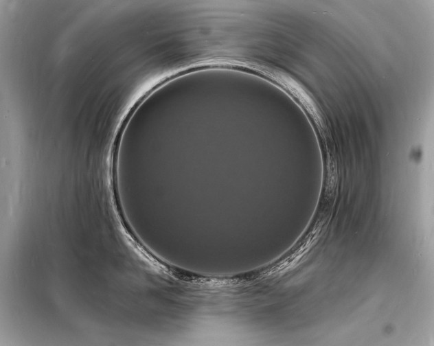 X0000098230958200804241337