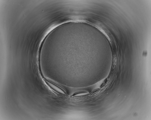 X0000098230959200804241337