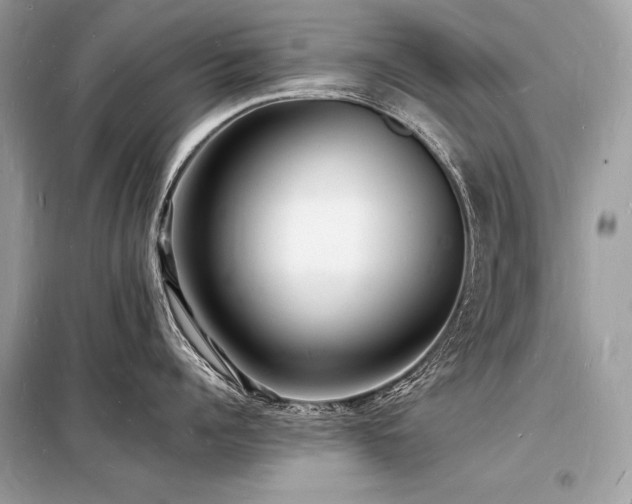 X0000098230960200804241337