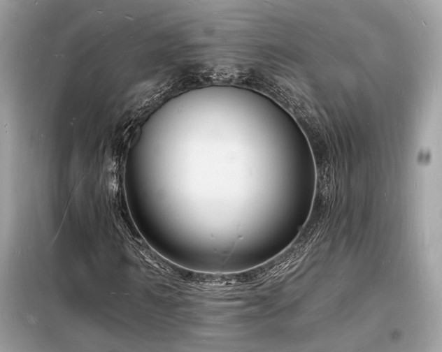 X0000098230962200804241337