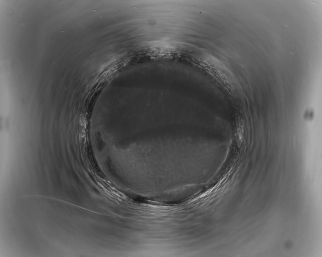 X0000098230964200804241337